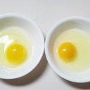 양촌농원 1농장 이미지