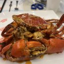 (주)골든비치 골든비치카지노 | 보홀 알로나비치 맛집 픽업 드랍 해주는 바다크랩, 킹크랩 메뉴 가격