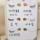 아낙스킨케어 | 서울대입구속눈썹 유미도안뷰티 믹스볼륨모연장후기