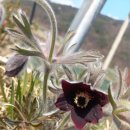 희수농장 이미지