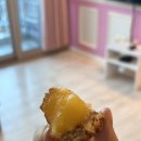 씨앤리조트 | 거제도 씨앤스카이 펜션 칸쿤101호 개별바베큐 가능 연말 이용 후기 내돈내산