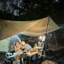 느티나무공원 | [군포] 초막골 생태공원 느티나무 야영장 가을 우중 캠핑 후기