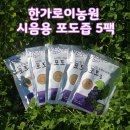 진한 천연포도즙. 상주포도즙. &#34;반짝이는 포도즙&#34;입니다~후기도있어요 -한가로이농원-