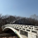 양재시민의숲 공원 테니스장 이미지