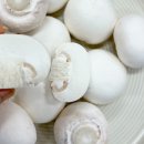 부여하늘농장2 | 6시내고향 ﻿충남 부여군 양송이의 신선함을 담은 동경양송이 농장 택배주문 바로가기