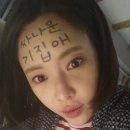 체안미 이미지
