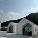 테라머뭄 이미지