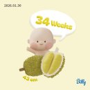 영원 세탁 | 임신 34주-35주 ! 출산임박 ! 태동검사, 아기용품 당근, 영원한 아기 선물 언박싱