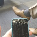 행신당구장 | 매입후기 ▣ 화정 아이폰5c ▣ 파주중고폰매입,일산...운정교하금릉금촌화정행신은평마포서대문홍대중고...