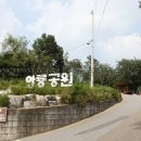 등나무근린공원 티스토리