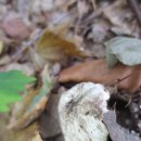 중흥중학교 이미지