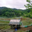 가리골농장 이미지