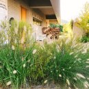 구하우스 이미지