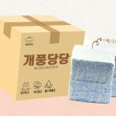 개풍당당