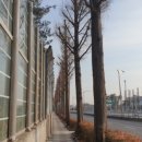 복지개화충전소 이미지