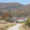 그래이 이미지