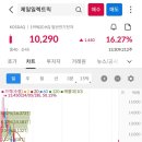 상한가, 거래량 천만주 이상 종목 24년 10월 7일 - 노을, 압타머사이언스, 피델릭스, 메가터치...