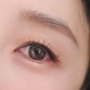 늘예쁨눈썹 | 청주속눈썹 바비눈썹 내츄럴 연장 자연스럽게 또렷해진 후기