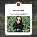 패션 브랜드 무신사, 무농사 짓는다고? | MUNONGSA