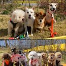 퍼밀리