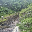 6월의 대마도 이미지