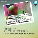 수정 지하철역 이미지
