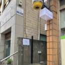 제주네일 엘조이네일 파우더 페디 후기