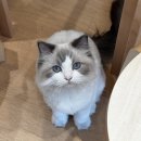 혜성홈인테리어 | 부산 광안리 카페 겸 소품샵 추천 홈커밍랩