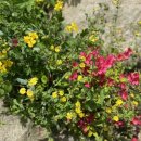 해오름 글램핑 이미지