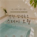 펜션오월의정원 | 연천 독채펜션 추천｜수영장 있는 감성숙소 스테이 오월 가족여행 후기