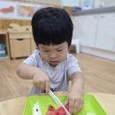 오감꼬치