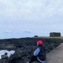 용필목장 이미지