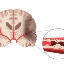 웰신경과의원 이미지