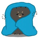 더펫프리미엄 이미지