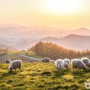 춘천시 청소년여행의집 이미지