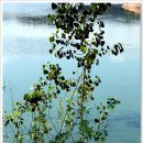 추동 호반길 이미지