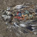 건지솔루션 이미지