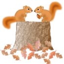 우드 스토리 이미지