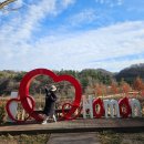 강나루치킨 | 경남 함안여행하기 3일차 여행코스 후기(함안 한달살기