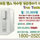웰스시