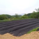 물골농장 이미지