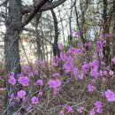 (주)비손 이미지