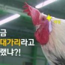 명일카센타 티스토리