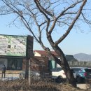 죽마보건진료소 이미지