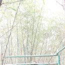 5월2(토) 옥산저수지 둘레길(청암산)에서 청정한 바람과 함께. . 이미지