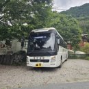 정자나무 펜션 이미지