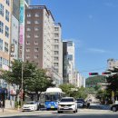 삼계화정약국 네이버블로그
