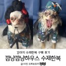 강아지 한복 일월오봉십장생도 세트 깜냥깜냥하우스 수제한복 구매 후기