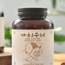 지디에프바이오