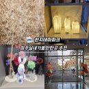 연세대학교 원주박물관 | 원주한지테마파크 체험 초등학생 실내가볼만한곳